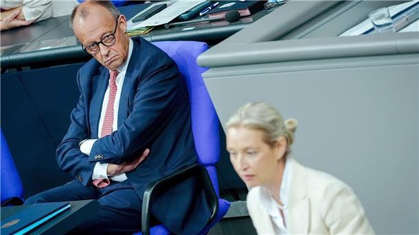„Üble Nachrede“: Merz wehrt sich gegen Weidels Lügen-Vorwurf Merz und Weidel liefern sich einen heftigen Schlagabtausch.