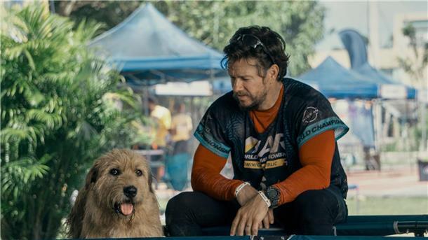 Mark Wahlberg rennt mit dem Hund durch den Dschungel Michael (Mark Wahlberg) und Arthur - ein gutes Team.