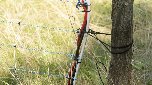 Mit besonderen Elektrozäunen sollen künftig die beiden Deichschäfereien in der Osterstader Marsch vor Wolfsangriffen geschützt werden. Der Verband der Wasser- und Bodenverbände hatte sich um das Modellprojekt des Landes Niedersachsen beworben.