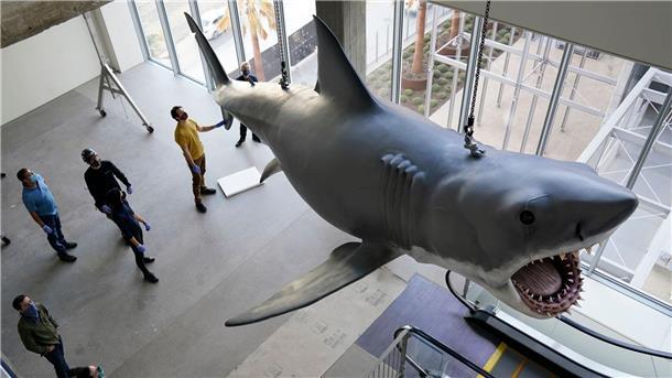 Daa-dam, Daa-dam: 50 Jahre „Der weiße Hai“ Mit dem mechanischen Hai „Bruce“, hier restauriert im Academy Museum of Motion Pictures in Los Angeles, gab es bei den Dreharbeiten zu „Der weiße Hai“ mannigfaltige Probleme. (Archivbild)