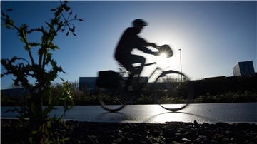 Radfahrer im Gegenlicht