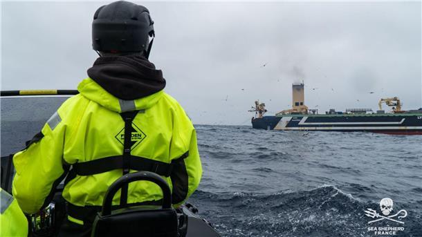 Meeresschützer auf der „John Paul DeJoria“: Tine will wieder kommen Mit dem Schlauchboot beobachten die „Piraten Neptuns“ in Zusammenarbeit mit Sea Shepherd Frankreich die Fischtrawler.