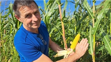 Bild von Landwirt Hergen Mahlstede mit einem Maiskolben, den er zum Größenvergleich neben seine Hand hält