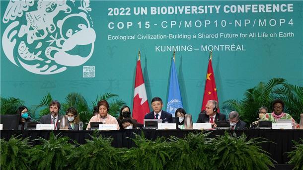 Weltnaturgipfel in Kanada geht auf Zielgerade Mit dem Weltnaturgipfel verbindet sich die Hoffnung, ein globales Abkommen für den Artenschutz zu erreichen - ähnlich dem Pariser Klimaschutz-Abkommen.