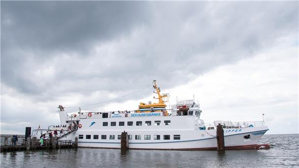 Ausflug nach Neuwerk: So funktioniert das bequem von Cuxhaven aus Mit der "Flipper" geht es von Neuwerk zurück nach Cuxhaven.