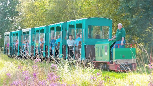 Eine grüne Moorbahn mit Gästen.