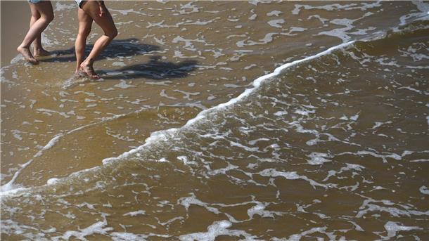 Gefahr durch Vibrionen: Sommerhitze lässt das Risiko steigen Mit der sommerlichen Hitze steigt das Risiko für Vibrionen-Infektionen an Nord- und Ostsee.