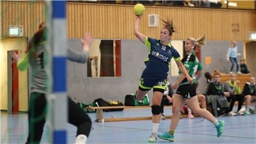 HSG Unterweser TS Hoykenkamp Regionsoberliga Handball
