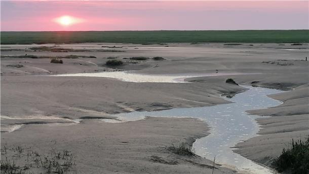 Langwarder Groden