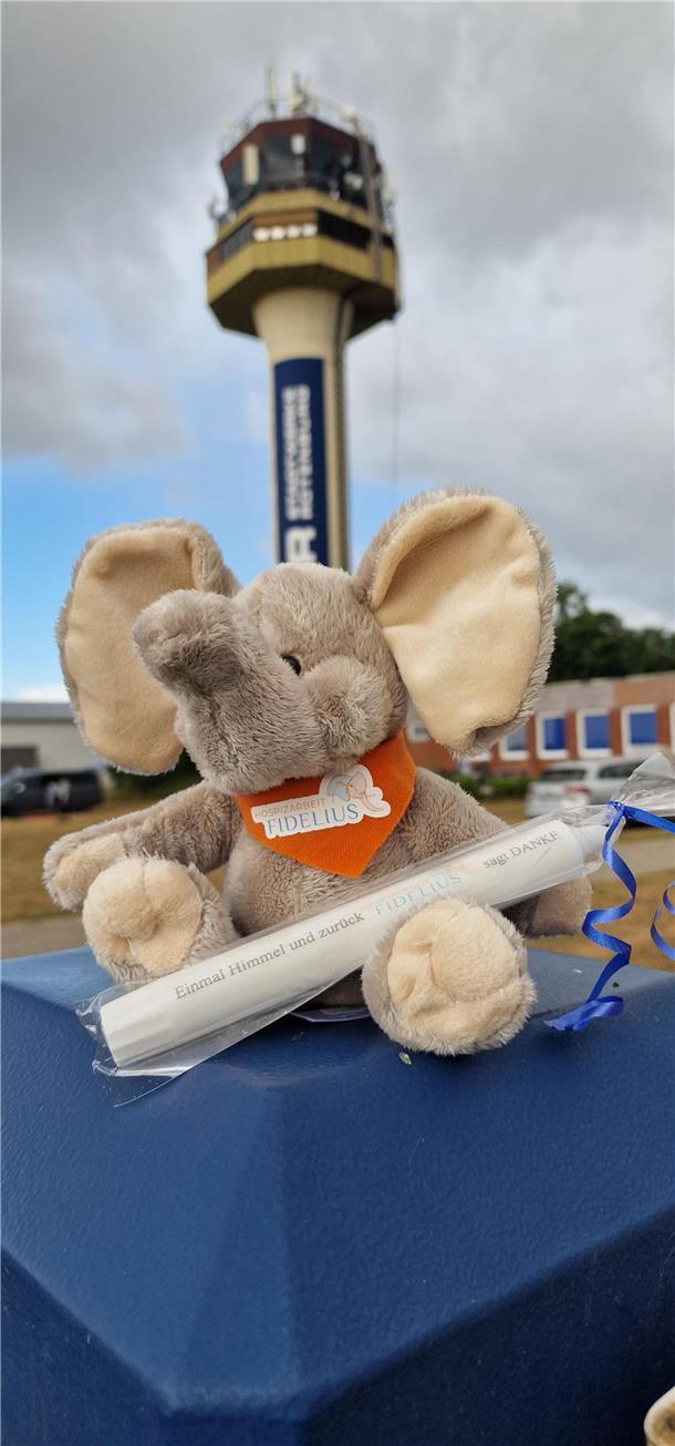 ein Stofftier (Elefant) hält eine in Folie verpackte Kerze 