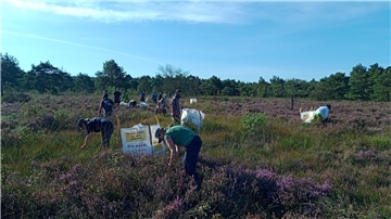 Mit Herz und Hand für den Naturschutz: Die ÖNSOR organisiert Ende September und Anfang Oktober verschiedene Naturschutzaktionen zum Mitmachen. Dieses Foto zeigt Entkusselungsmaßnahmen im Hemelsmoor bei Zeven.