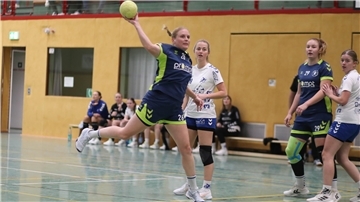 HSG Unterweser