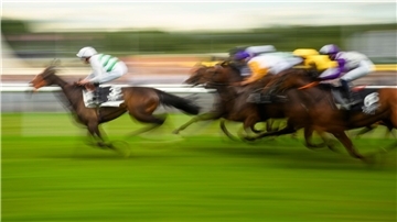 Pferderennen in Frankreich werden bestreikt Mit Plänen für höhere Wettsteuern bringt die Pariser Regierung die Reitsportbranche gegen sich auf (Archivbild).