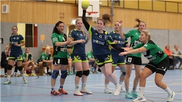 HSG Unterweser TS Hoykenkamp Handball-Regionsoberliga