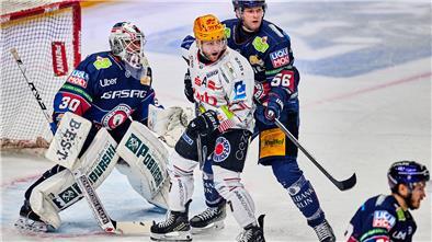 Mit Rückkehrer Alex Friesen (Mitte, weiß) haben die Fischtown Pinguins in Berlin den nächsten DEL-Sieg gefeiert.