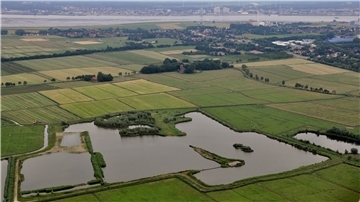 Mit Schwermetallen belastet, aber naturkundlich sehr reizvoll. Der Seenpark IV und die Weiden drumherum bieten zahlreichen Vogelarten einen Lebensraum, halten für die Landwirtschaft aber wenig Ertrag bereit. Landwirte, die in dem Bereich arbeiten, und Glencore Nordenham würden dort gerne Solaranlagen installieren.