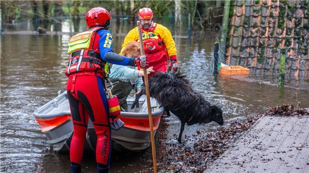 Hochwasserlage: Kampf gegen Überflutung und Aufatmen Mitarbeiter der DLRG retten in der Wedemark Heidschnucken.