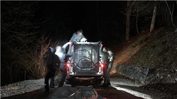 Mitarbeiter des Trentiner Forstkorps bereiten den Transport der Bärin JJ4, die in der Nacht mit Hilfe einer großen Rohrfalle gefasst wurde, in ein Wildreservat vor.