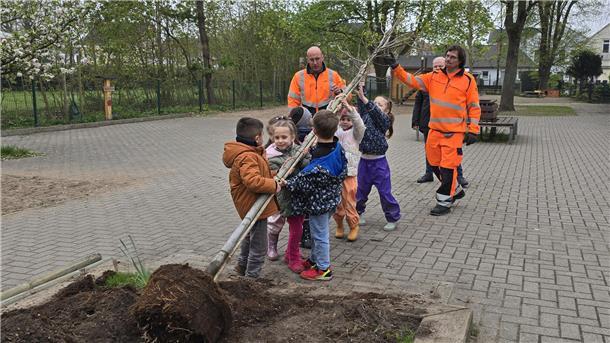 Kinder pflanzen einen Baum in Brake. 