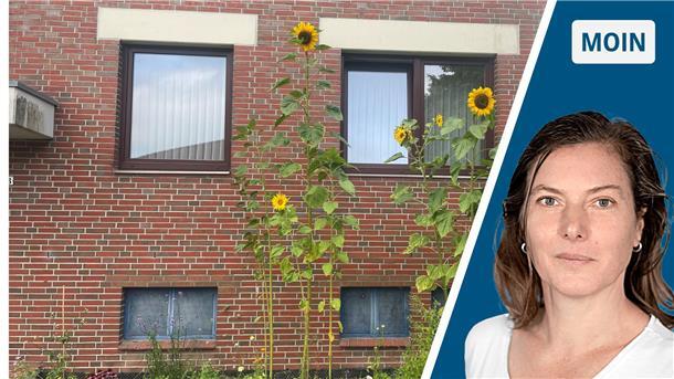 Wie ich mein eigenes Guerilla-Gardening-Projekt in Schwung halte Frau und Sonnenblumen, die hochgewachsen sind