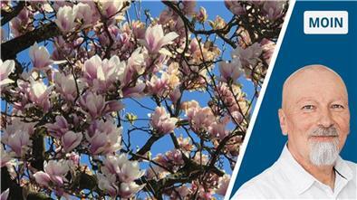 Magnolie und Lutz Hilken