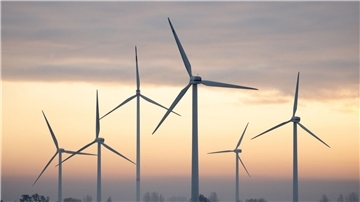 Nach Angaben des Fraunhofer-Instituts für Solare Energiesysteme liegt der Windkraft-Anteil an der Stromerzeugung im laufenden Jahr bei 24,3 Prozent.