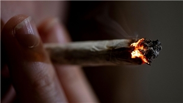 Nach dem Gesetz der Ampel-Koalition sollen Besitz und Anbau von Cannabis mit zahlreichen Vorgaben für Volljährige zum Eigenkonsum legal werden.