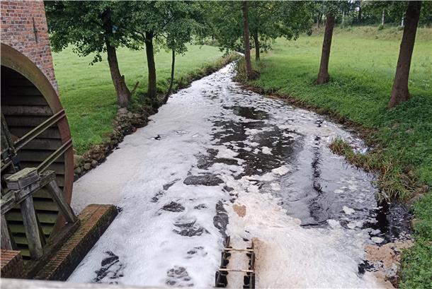 Nach dem Öffnen des Wehrs der Bademühle schäumte das mit Nährstoffen belastete Wasser des Baches stark auf.