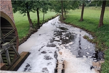 Nach dem Öffnen des Wehrs der Bademühle schäumte das mit Nährstoffen belastete Wasser des Baches stark auf.