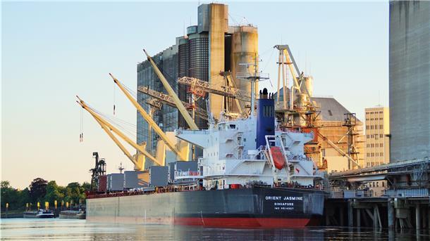 Niedersachsen investiert kräftig in den Braker Hafen Nach dem zweiten wird nun auch der erste Großschiffsliegeplatz am Südpier in Brake instandgesetzt.