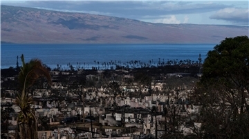 Nach den verheerenden Bränden auf der Insel Maui im US-Bundesstaat Hawaii haben Suchtrupps weitere Leichen in ausgebrannten Gebäuden gefunden.