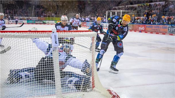 Nach einem furiosen Start war das Spiel zwischen den Fischtown Pinguins und den Nürnberger Ice Tigers von vielen Zweikämpfen geprägt.