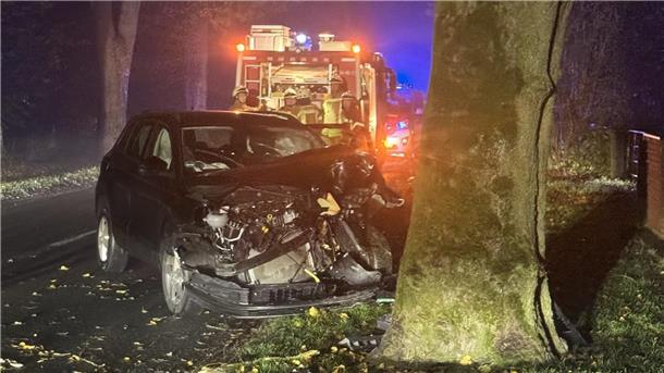 Ein schwer beschädigtes Auto steht neben einem Baum.  