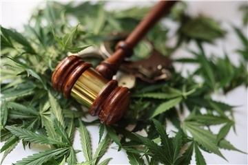 Cannabispflanzen liegen auf einem Tisch. Darauf wiederum befindet sich ein Richterhammer und etwas unscharf auch Handschellen. 