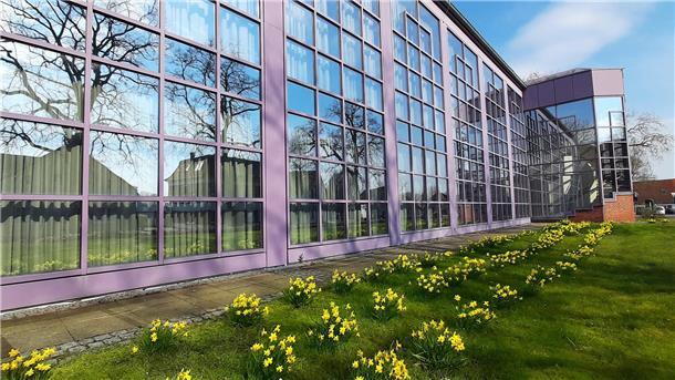 Nordenham braucht die Friedeburg: Stadthalle soll langfristig erhalten werden Blick von außen auf die Friedeburg. Die Nordenhamer Stadthalle soll langfristig erhalten werden