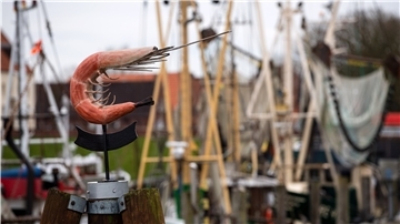 Die Figur einer Garnele steht vor den Krabbenkuttern im Hafen.