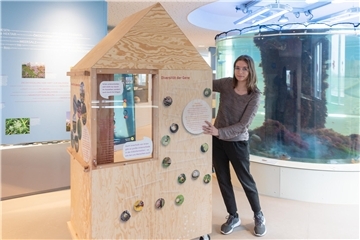 Ausstellung "Biodiversi-Was?" im Nationalpark-Haus Wurster Nordseeküste
