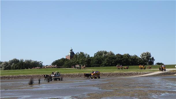 Neuwerk, das Kleinod im Wattenmeer, ist derzeit notgedrungen von der Außenwelt abgeschottet.