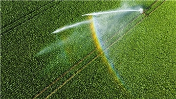 Nicht einmal fünf Prozent der landwirtschaftlichen Fläche kann bewässert werden. 