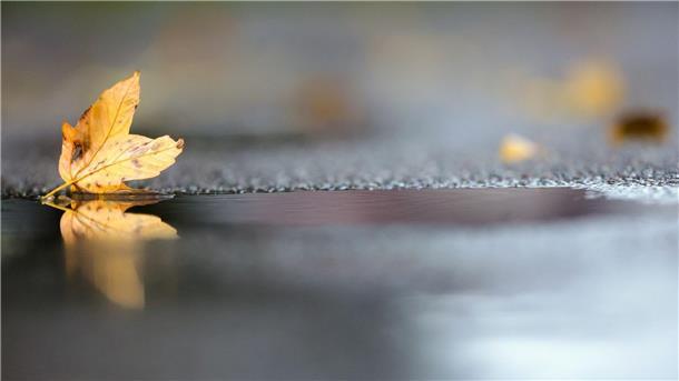 Regen klingt ab: Sonniger Norden und grauer Süden Noch hält sich die herbstliche Zweiteilung beim Wetter in Deutschland. (Archivbild)