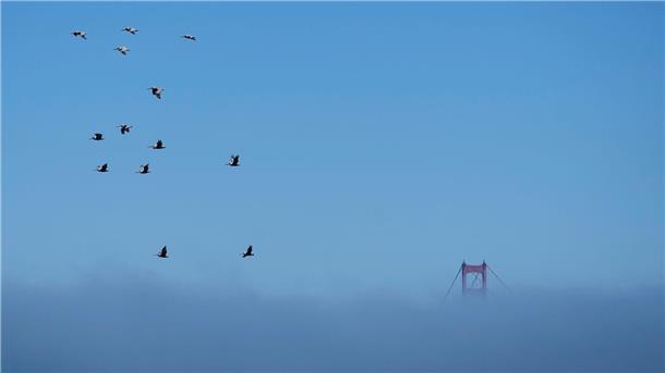 Nur die Spitze der Golden Gate Bridge kann man noch erkennen.