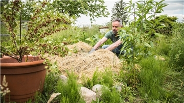 Permaveggies: Dieses Gemüse macht kaum Mühe Nur wer fleißig ist, kann reichlich ernten - oder? Tatsächlich gibt es einige Gemüsesorten, mit denen man viel weniger Arbeit hat.