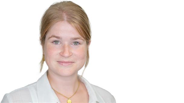 Von Fieberträumen und Sockenpuppen 