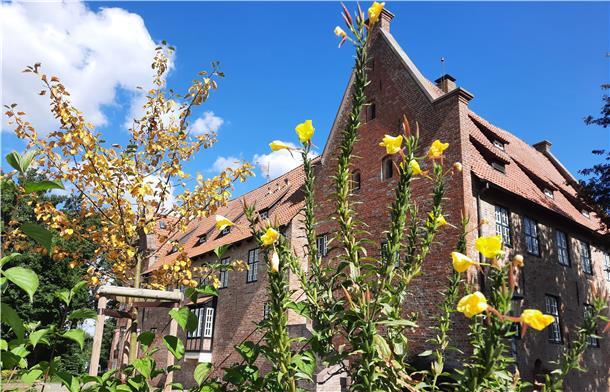 Blick auf die Burg Bederkesa mit rotem Ziegeldach an einem sonnigen Tag, im Vordergrund gelbe Blüten.