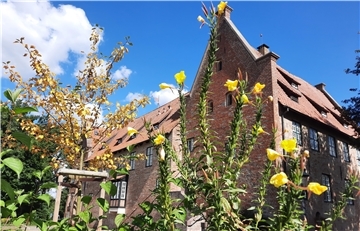 Blick auf die Burg Bederkesa mit rotem Ziegeldach an einem sonnigen Tag, im Vordergrund gelbe Blüten.