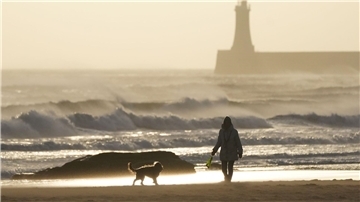 Ein Hund läuft am Strand neben seinem Besitzer.