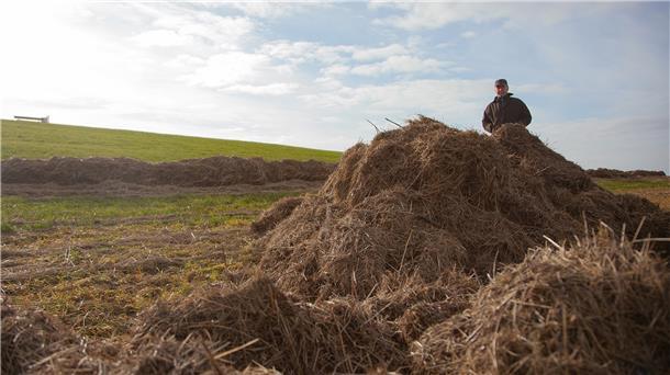 Oberdeichgräfe Günter Veldmann betrachtet die Treibselmassen auf dem Deich - hier in Cappel-Neufeld - mit Sorge: „Das muss möglichst bald weg, damit sich die Grasnarbe bis zum Herbst wieder erholen kann. Noch allerdings sei der Boden zu nass für schweres Räumgerät.