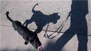 Obwohl in der Brut- und Setzzeit Leinenzwang für Hunde gilt, halten sich nicht alle Hundebesitzer daran. Zum Unmut vieler Bürger.