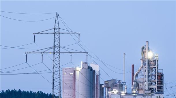 Ökonomen sehen die geplanten Maßnahmen zur Senkung der Industriestrompreise der SPD kritisch.