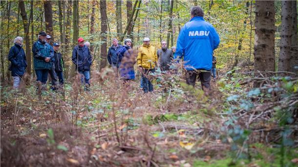 Bremerhavener Bürger beim Wald-Gang mit dem Naturschutzbund im Reinkenheider Forst Bremerhaven